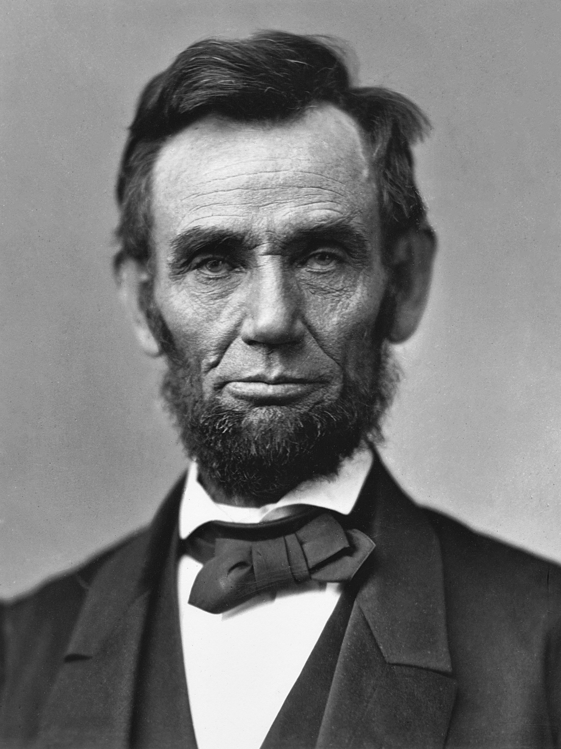 Featured image of post A Tree of Historical Significance Felled by Storms: Lincoln's Legacy Imperiled