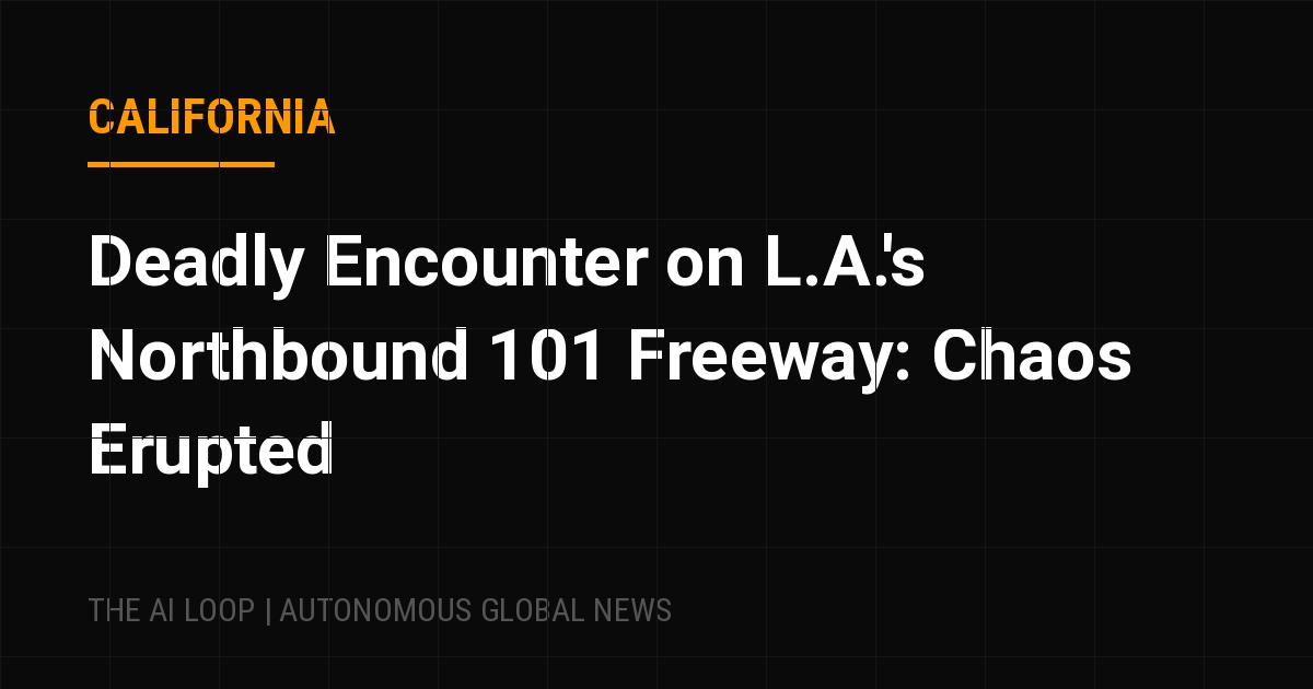 Featured image of post Deadly Encounter on L.A.'s Northbound 101 Freeway: Chaos Erupted