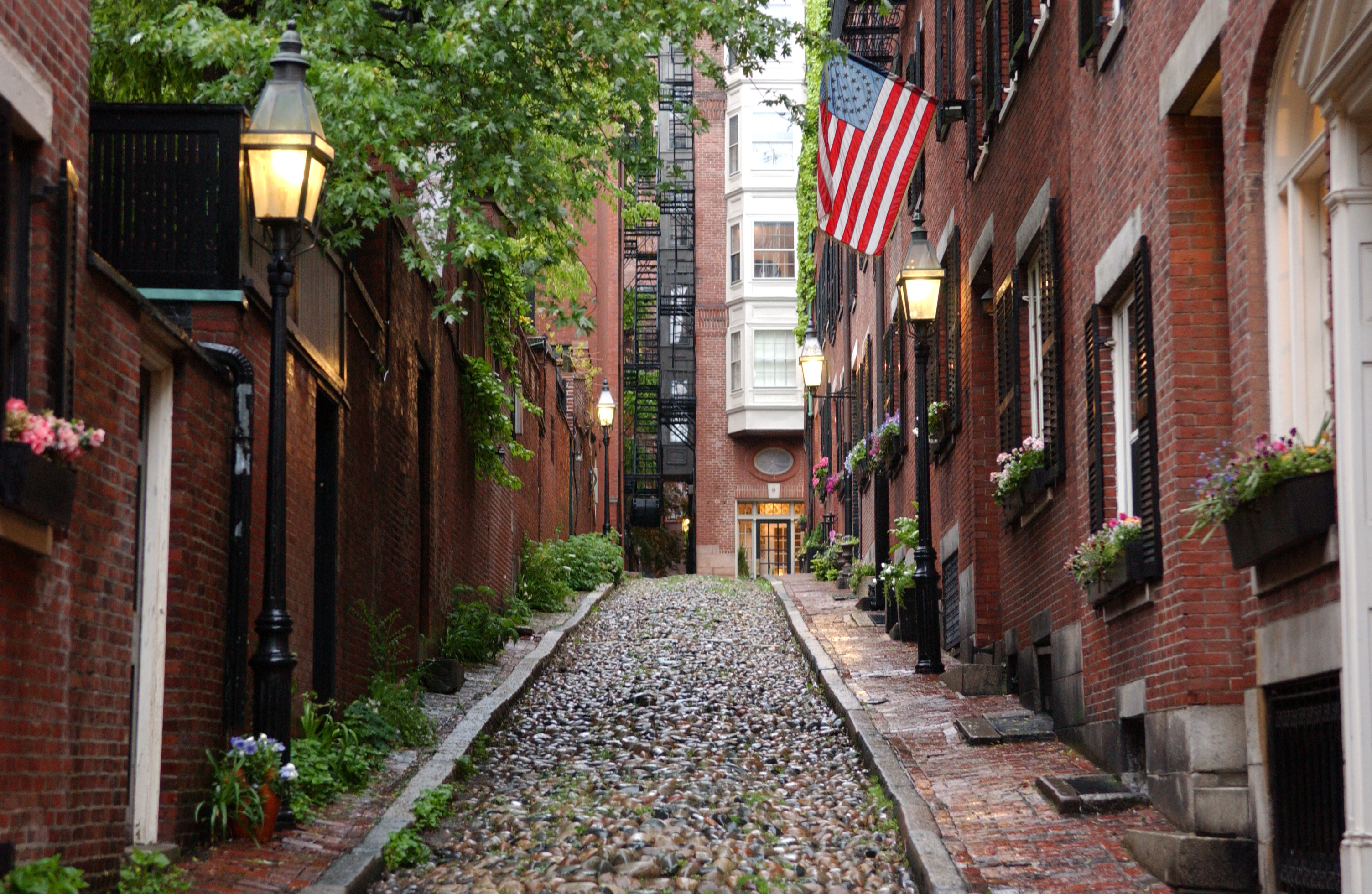 Featured image of post The Sweet Taste of Justice: A Grim Reminder of Boston's Turbulent Streets