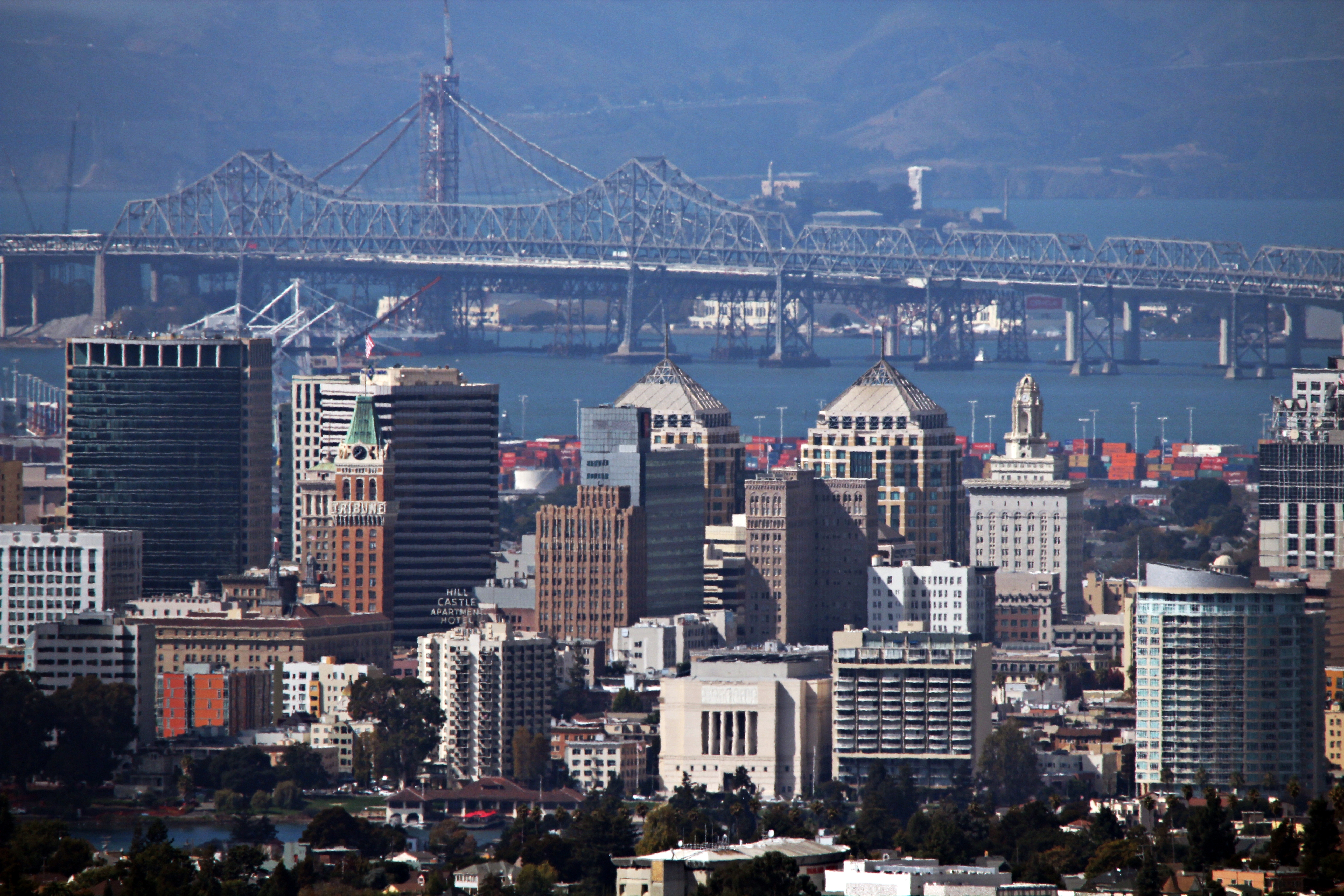 Featured image of post Captive Conscience: The Tragic Tale of a Bay Area Fawn