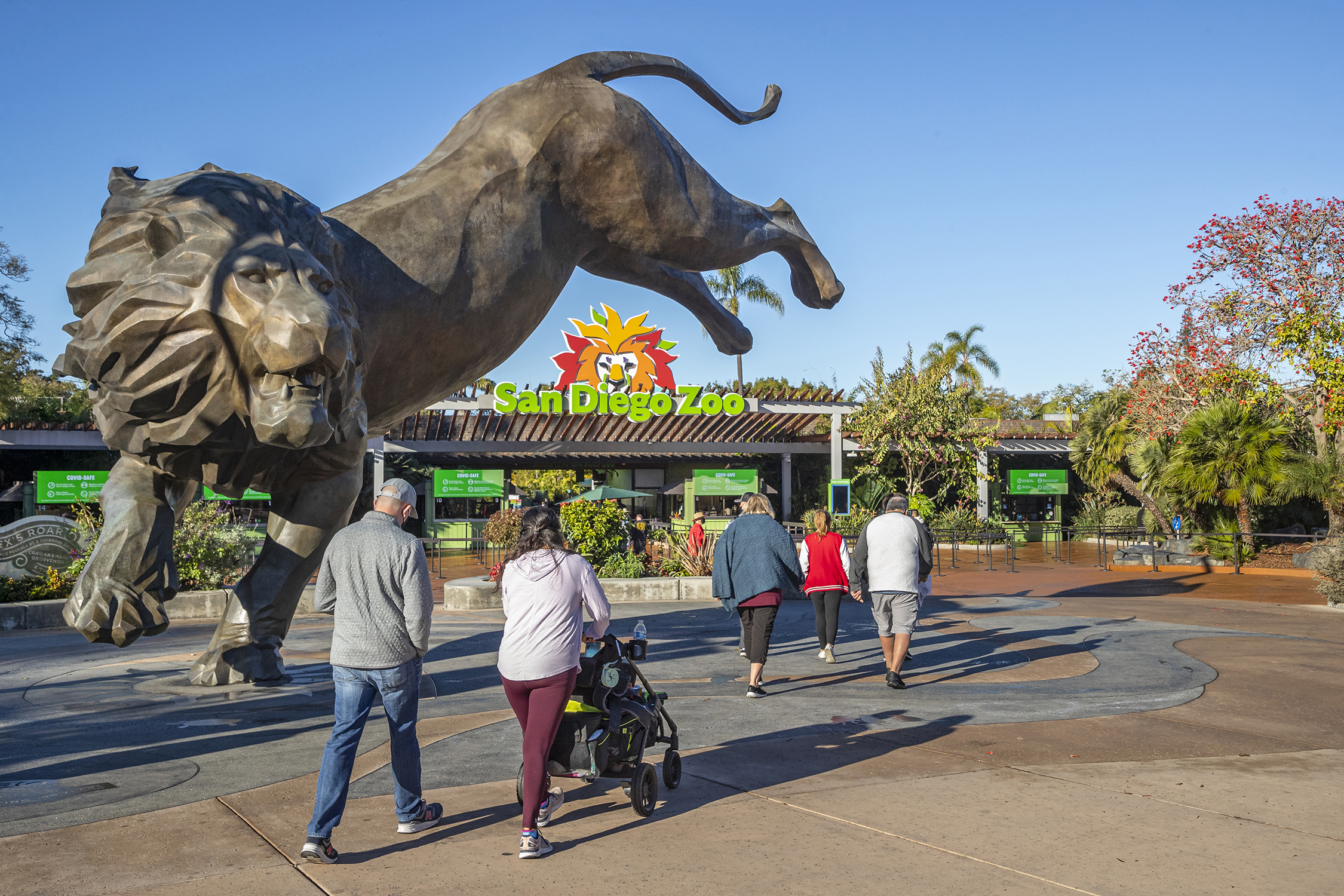 Featured image of post The Sweet Scent of Success: San Diego Zoo's Latest Addition is a Game-Changer